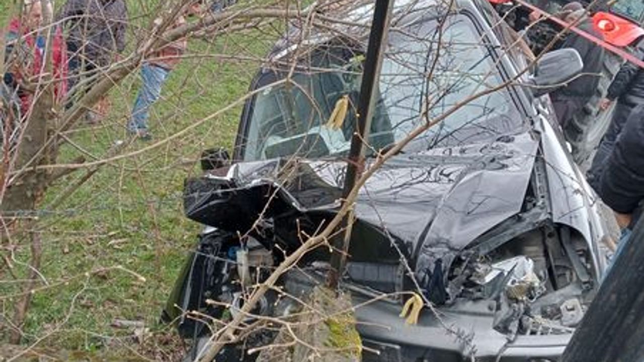 Depremden kurtulan sürücü, Alaplı'da kaza yaptı 