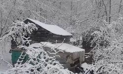 Zonguldak'ın tepeleri beyaza büründü