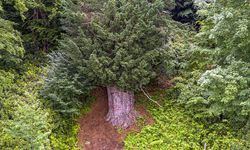 TRT Belgesele konu oldu