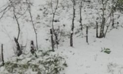 Zonguldak'ın köyleri beyaza büründü