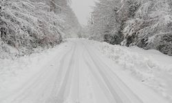 Kar geçit vermedi: 198 köy yolu ulaşıma kapalı