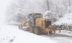 Kar bastırdı, 82 köy yolu ulaşıma kapalı