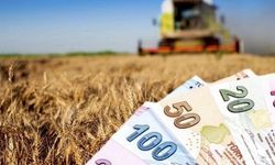 "Çiftçiye acil destek lazım"