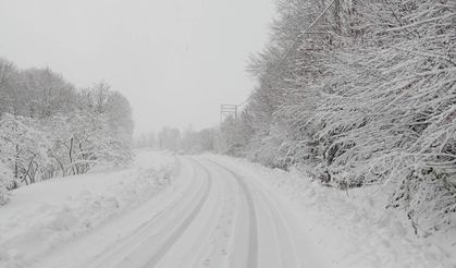 Kar geçit vermedi: 198 köy yolu ulaşıma kapalı