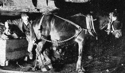 “TTK'nın kadrolu madenci son katırı da öldü”...