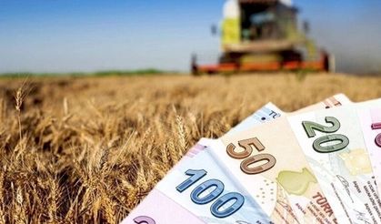 "Çiftçiye acil destek lazım"
