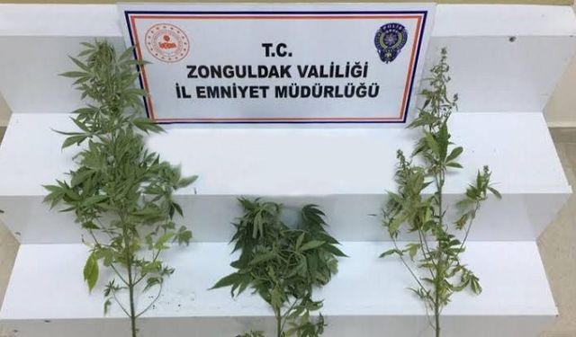 Polis ve jandarmadan uyuşturucu operasyonu...