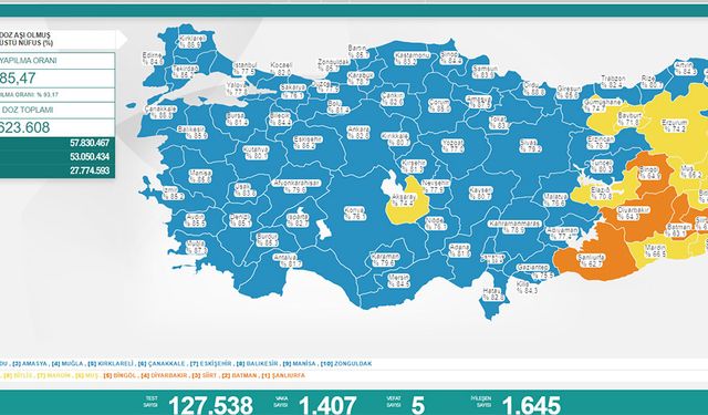 Koronavirüs vaka ve vefat sayısı açıklandı