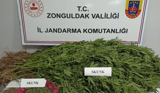 Jandarmadan uyuşturucu operasyonu