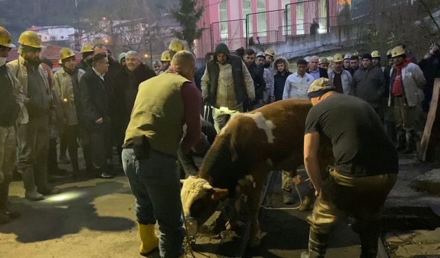 Yeni pano, kurban kesimi  ve dualarla üretime açıldı...