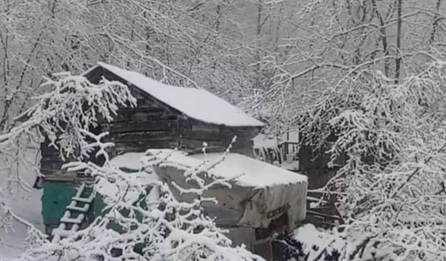 Zonguldak'ın tepeleri beyaza büründü