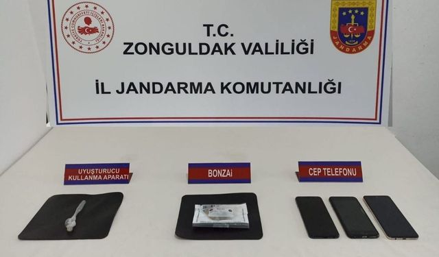 Kozlu'da bonzai operasyonu...