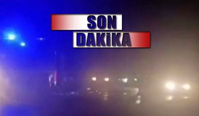 Sapça'da kaza: 2 ölü, 1 yaralı