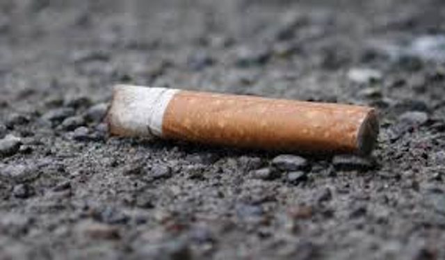 Bu ilde yere izmarit atanlar yandı! Darısı Zonguldak'ın başına!