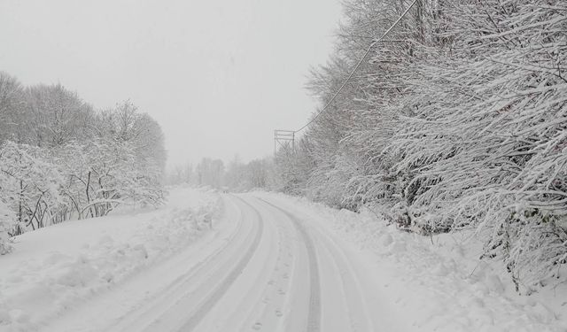 133 köy yolu ulaşıma kapalı