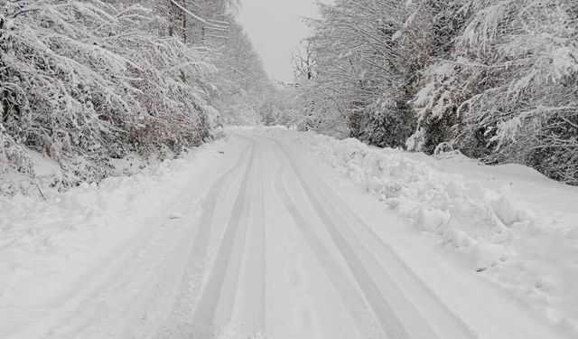 Kar geçit vermedi: 198 köy yolu ulaşıma kapalı