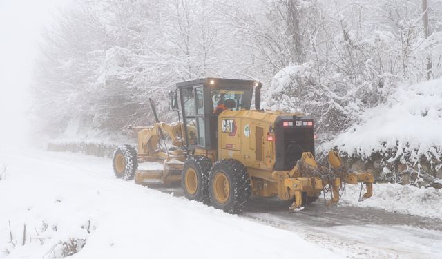 Kar bastırdı, 82 köy yolu ulaşıma kapalı
