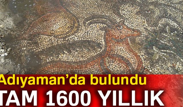 Adıyamanın Gölbaşı ilçesinde tarla düzenlemesi yapan çiftçiler 1600 yıllık yaklaşık 100 metrekarelik mozaik buldu