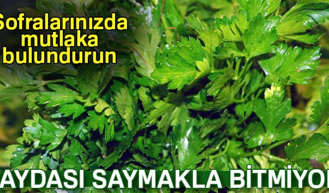 Acıbadem Eskişehir Hastanesi Beslenme ve Diyet Uzmanı Gözde Gence, maydanozun yaşamsal önem taşıyan faydalarını anlatarak önemli uyarılarda bulundu