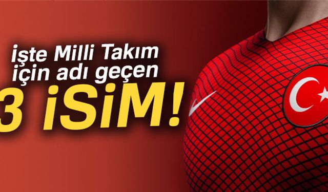 Türkiye Futbol Direktörü Fatih Terimin görevi bırakmasının ardından yerine kimin geleceği merak konusu oldu