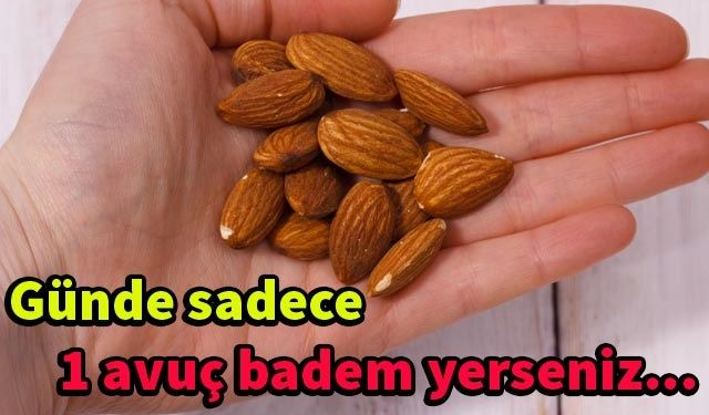 Pennsylvania Eyalet Üniversitesi'nde yapılan bir araştırmaya göre sadece 43 gram badem, kötü kolesterolü azaltıp, kalp hastalıklarına karşı koruyan iyi kolesterolü %19 oranında arttırıyor