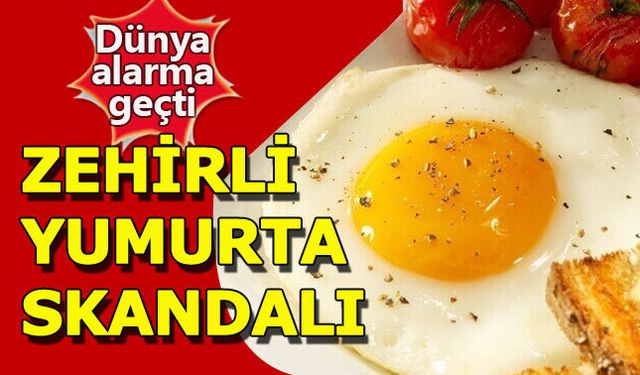 Zonguldak Veteriner Odası, Avrupa'nın bazı ülkelerinde üretilen yumurtalarda böcek ilacı "fipronil" maddesinin bulunmasıyla başlayan 'zehirli yumurta' krizinin ardından açıklama yaptı