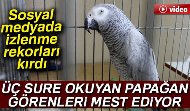 İhlas, Kevser ve Mesed (Tebbet) Surelerini okuyan papağan görenleri mest ediyor