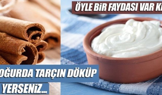 Tarçınlı yoğurt kürü zayıflatır mı? Bu sağlıklı yiyeceklerin vücudumuza ne gibi yararları olabilir?