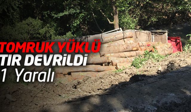 Karabük'ün Yenice ilçesinde tomruk yüklü tır, ormanlık alanda şarampole devrildi