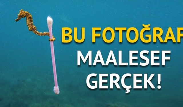 National Geographic dergisi, dünyanın dört bir yanındaki deniz, okyanus, nehir ve kıyı bölgelerinde biriken plastik atıkların doğal yaşamı nasıl tehdit ettiğini gösteren bir fotoğraf seçkisi yayınladı