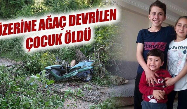 Üzerine devrilen ağacın altında kalan 14 yaşındaki çocuk hayatını kaybetti