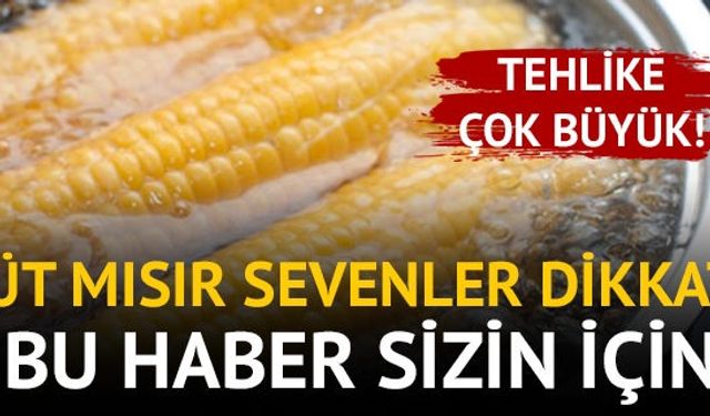 Kokusuna da tadına da aşığız biz bu süt mısırın :) Küçük, büyük herkesin severek tükettiği mısırın faydaları saymakla bitmiyor ama her şeyin olduğu gibi onun da fazlası zarar