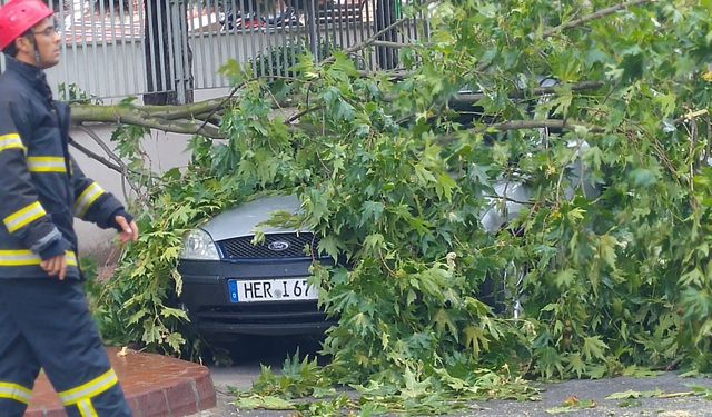 Fırtınada devrilen ağaç dalı otomobilin üzerine düştü!..