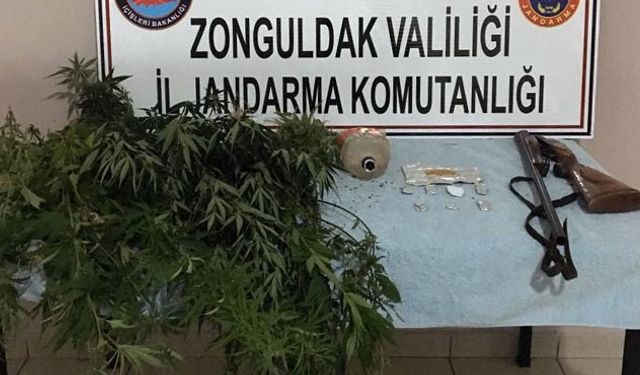 Jandarma'dan uyuşturucu operasyonu!..