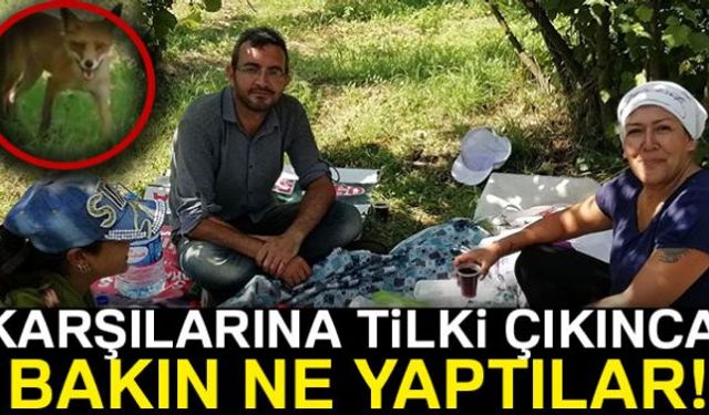 Düzcede Dilek Şen isminde bir kadın, fındık toplamak için girdiği bahçede yemek yerken karşılarına çıkan tilkiyle sohbet etmeye başladı