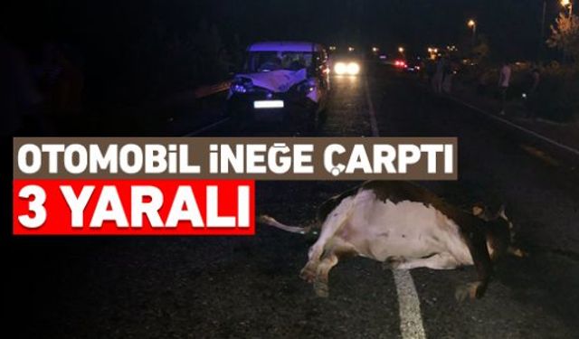 Karabükten Zonguldak istikametine seyir halinde olan otomobilin ineğe çarpması sonucu 3 kişi yaralanırken, yola savrulan inek ise telef oldu