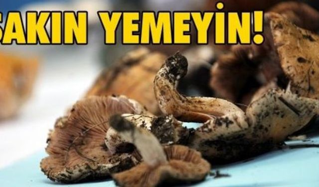 Sağlık Bakanlığı'nın yaptığı yazılı açıklamaya göre; Türkiye genelinde yağışların artması nedeniyle doğada yetişen mantarların üremesinde ve yurt genelinde tüketiminin artmasına bağlı zehirlenme vakalarında artış gözlendi