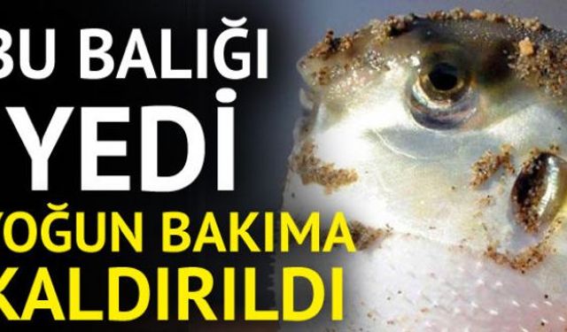 Denizden avladığı balon balığını yiyen kişi zehirlenince yoğun bakım servisine kaldırıldı