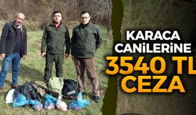 Karabükün Yenice ilçesinde kaçak avladıkları karacanın derisini yüzdükten sonra etini parçalarken suçüstü yakalanan 2 avcıya, toplam 3 bin 540 lira para cezası kesildi