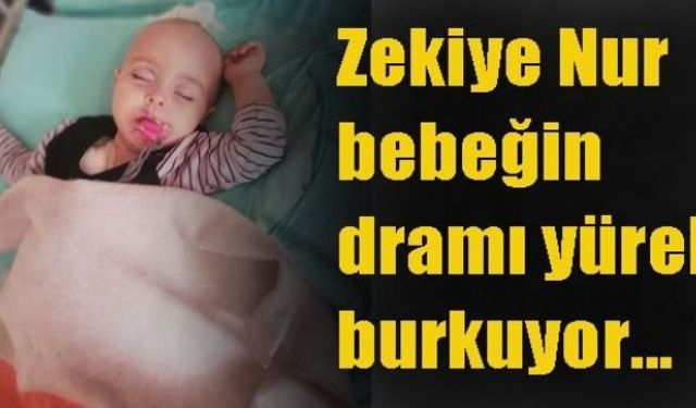 Zonguldaklı İsa-Merve Demir çifti, kanserle savaşan 14 aylık bebekleri Zekiye Nur için kan bağışı ve maddi yardım bekliyor