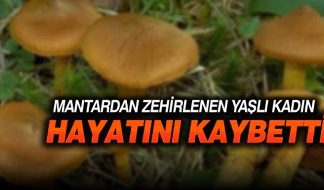 Yedikleri mantardan zehirlenmeleri sonucu hastanede hayatını kaybeden yaşlı kadın kılınan cenaze namazının ardından son yolculuğuna uğurlandı