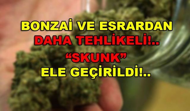 Jandarma ekiplerinin düzenlediği operasyonda, bir araçta extacy ve esrardan 20 kat daha tehlikeli olan 10 gram skunk madde ele geçirildi