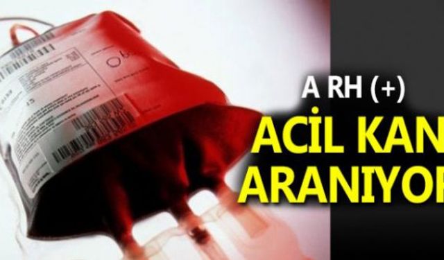 3 yaşındaki çocuk için çok ACİL kan aranıyor!..