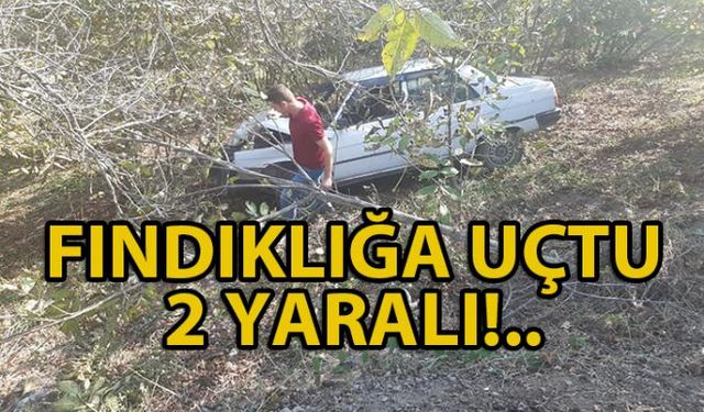 Zonguldak'ın Ereğli İlçesine bağlı Kaptaş köyünde direksiyon hakimiyetini kaybeden sürücü fındıklık bahçesine uçtu