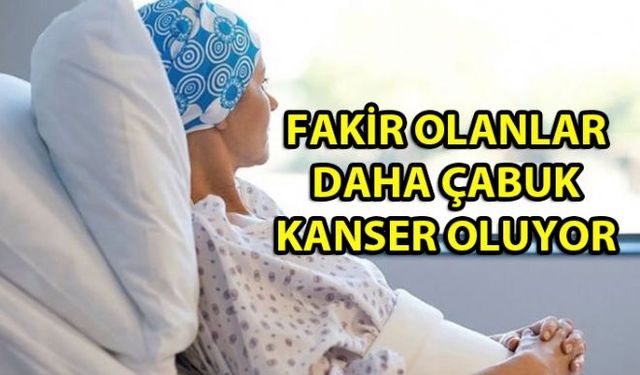 Kriz-Kanser Döngüsü adını verdiği multidisipliner çalışmalar yapan Dr