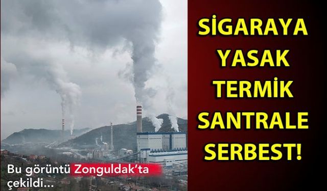 Vatandaş araçta sigara içmeye dahi para cezası öderken Termik Santrallerin bacalarından çıkan ve adeta temiz hava solunmasına dahi müsaade etmeyen zehirli duman vatandaşlar ile çevre derneklerinin tepkisini çekmeye devam ediyor