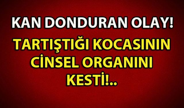 Tartıştığı kocasının cinsel organını kesen ve gözaltına alınan T