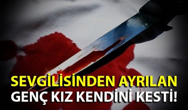 Zonguldakın Çaycuma İlçesine bağlı Saltukova Beldesinde sevgilisinden ayrılan M