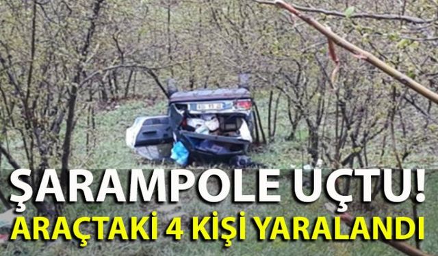 Zonguldak Ereğli Karayolunda kontrolden çıkan otomobil şarampole yuvarlandı