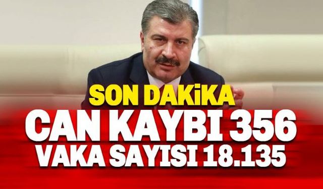 Türkiye'de son 24 saatte koronavirüsten 79 kişi daha hayatını kaybetti Sağlık Bakanı Fahrettin Koca Corona Virüs salgınına ilişkin son bilgileri paylaştı